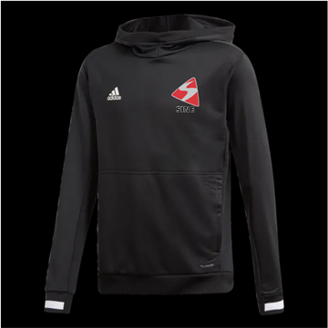 Adidas Team 19 Hoody  Sort